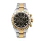 116523 Daytona watch, product photograph